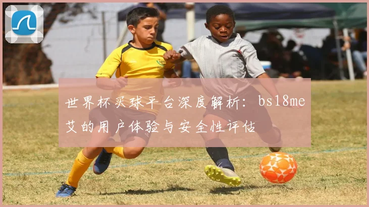 世界杯买球平台深度解析：bs18me艾的用户体验与安全性评估