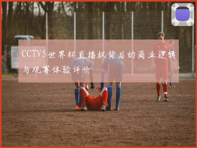 CCTV5世界杯直播权背后的商业逻辑与观赛体验评价